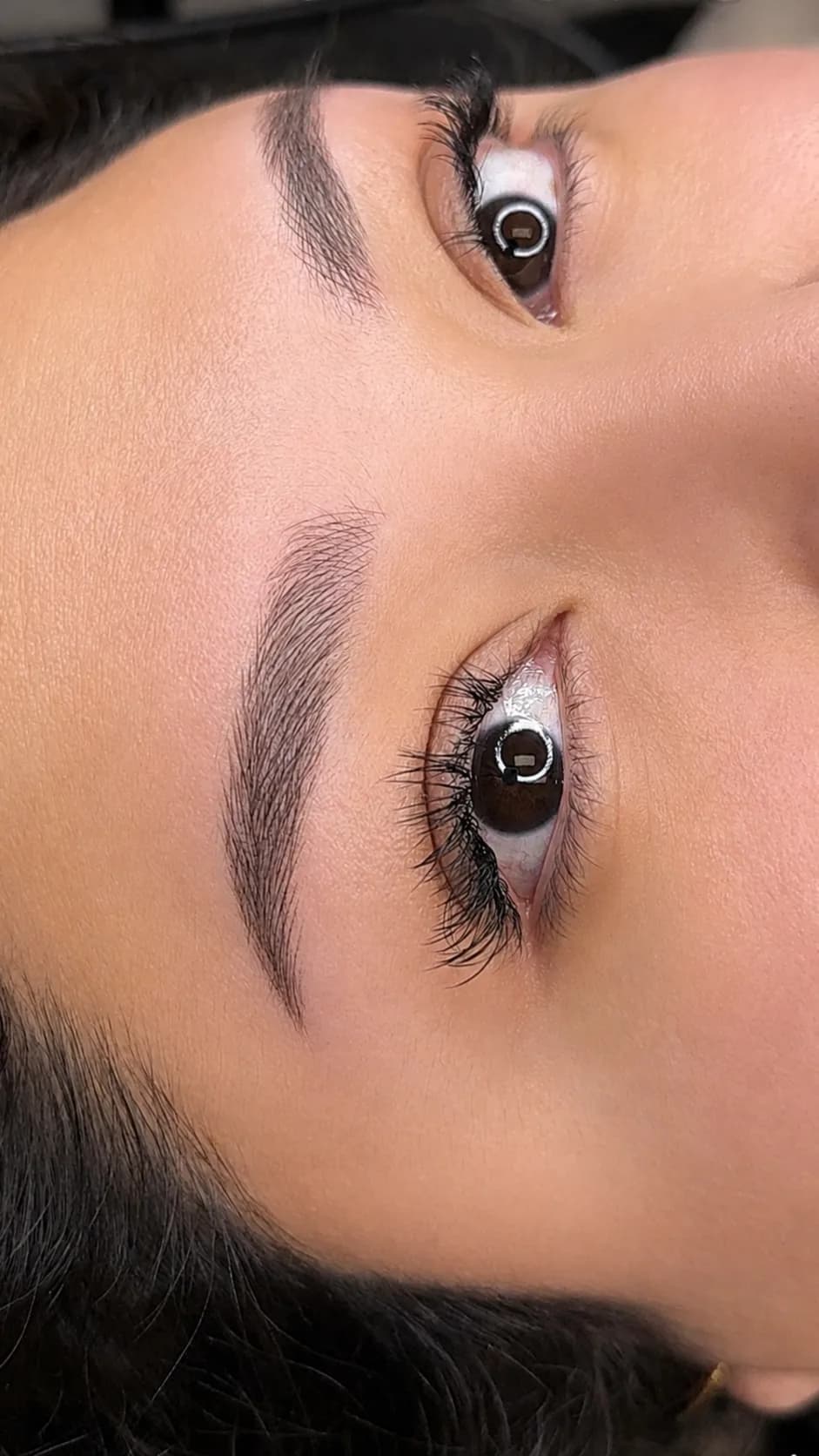 Ceja y ojo de cerca, con el trazo pelo a pelo recién terminado.