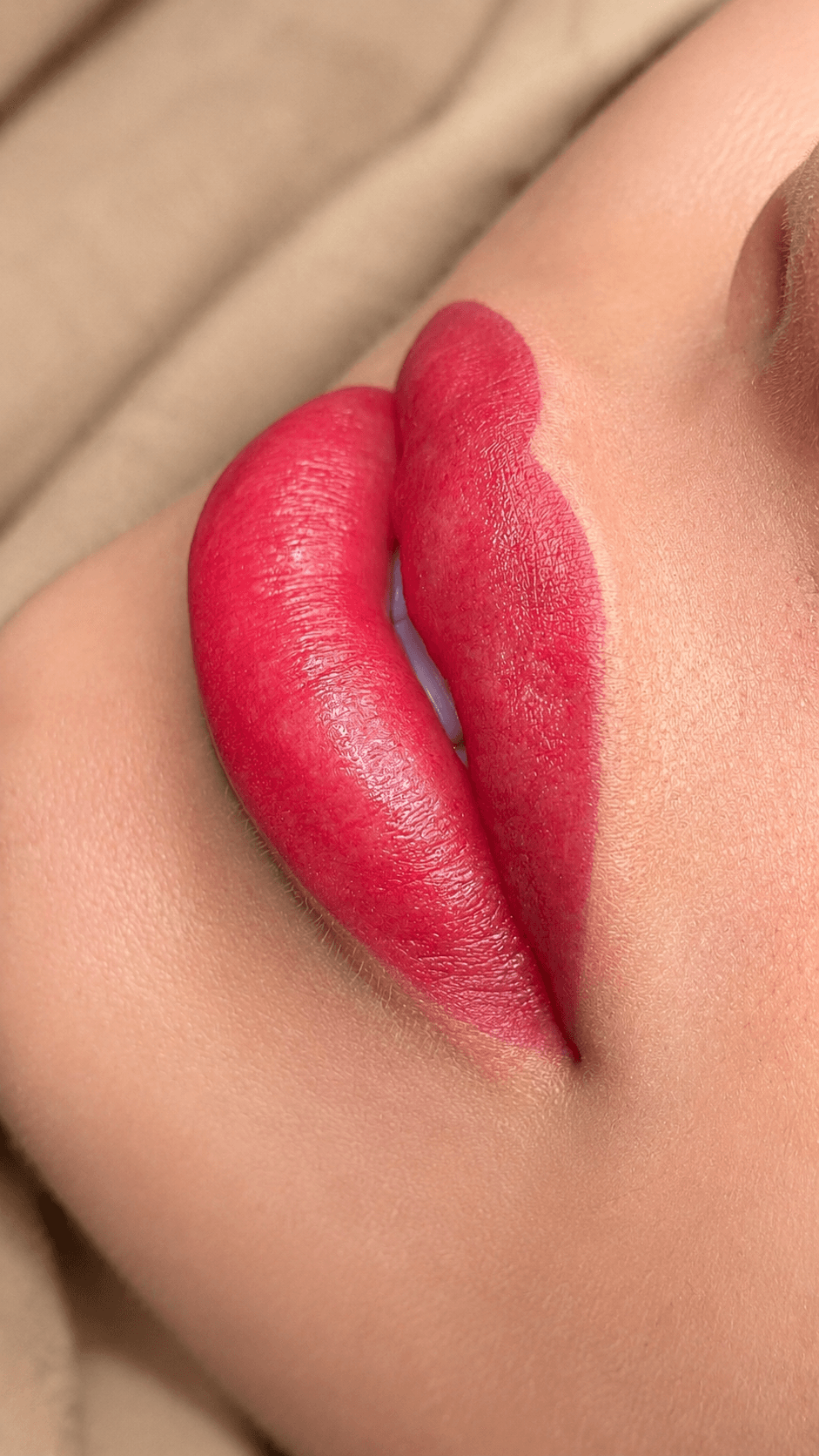 Detalle de microlips · labio con color y contorno