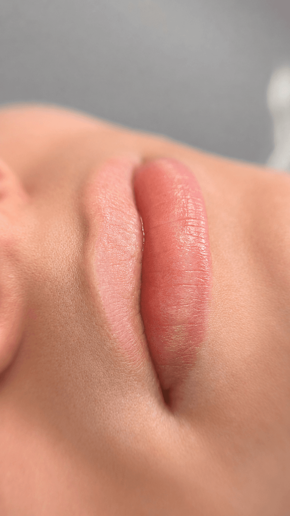 Primer plano extremo del labio, con la mitad de tono más claro y mate frente a la otra con más color.