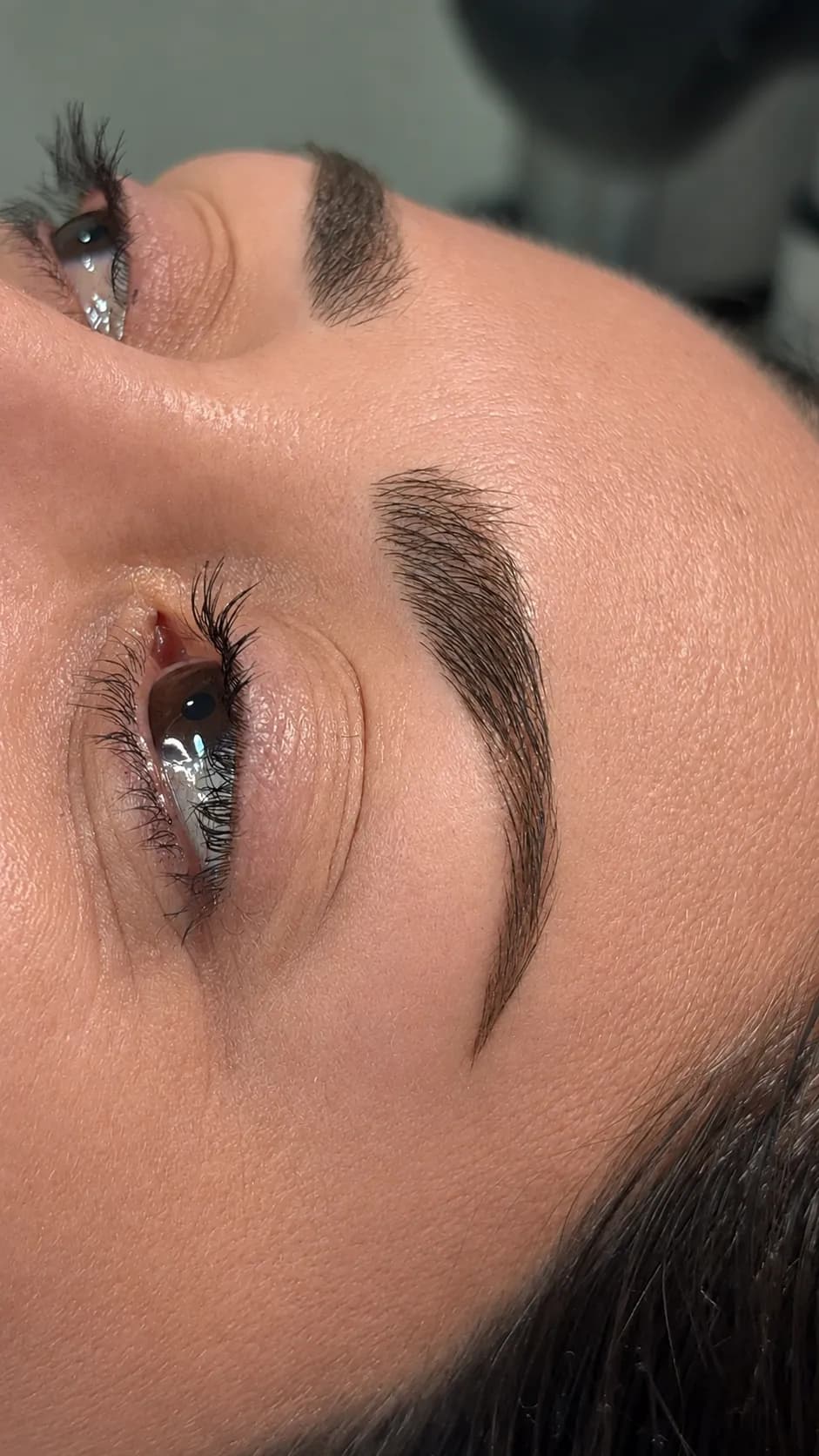Cejas con trazos pelo a pelo y sombreado que alargan y densifican la cola.